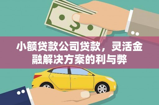 特克斯小额贷款公司贷款，灵活金融解决方案的利与弊