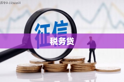 大朗税务贷